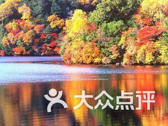 创作猫